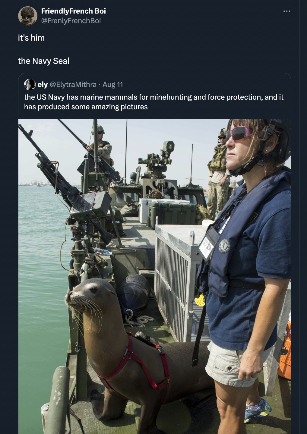 burro - it's him FriendlyFrench Boi Frenly FrenchBol the Navy Seal ely Aug 11 the Us Navy has marine mammals for minehunting and force protection, and it has produced some amazing pictures